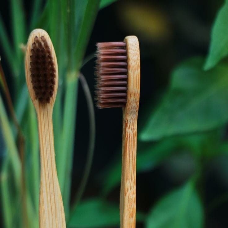 Bamboo Toothbrush